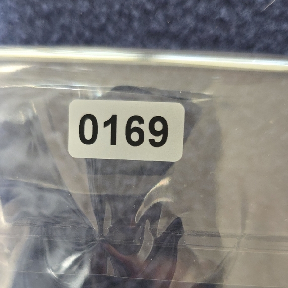 Adidas Blue Ankle Cropped Pants - Picture 7 of 7